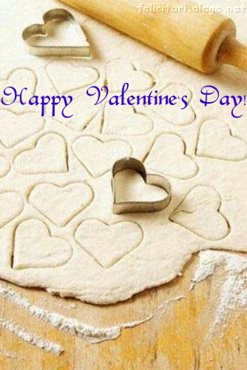 Happy Valentine`s Day!